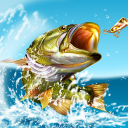 Download  Pocket Fishing