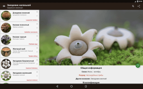 Download Book of Mushrooms Books and Reference for Android screenshot 6