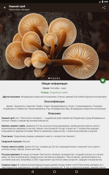 Download Book of Mushrooms Books and Reference for Android screenshot 7