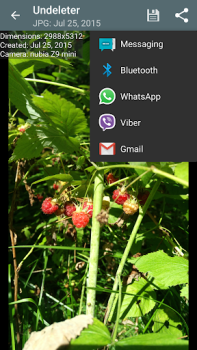 Download Undeleter Recover Files & Data Tools for Android screenshot 4