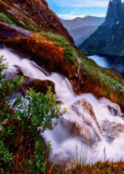 Download Waterfall Live Wallpaper Personalization for Android screenshot 3
