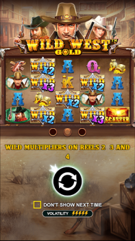 Download Wild West Gold Slot Casino Casino for Android screenshot 2