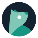 Download  Evie Launcher
