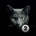 Download  Find a cat 2