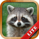 Download Animals for Kids