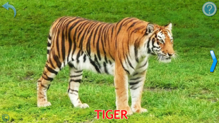 Download Animals for Kids Learning Games for Android screenshot 2
