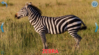 Download Animals for Kids Learning Games for Android screenshot 3