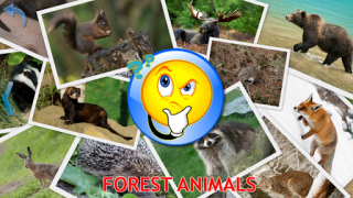 Download Animals for Kids Learning Games for Android screenshot 5