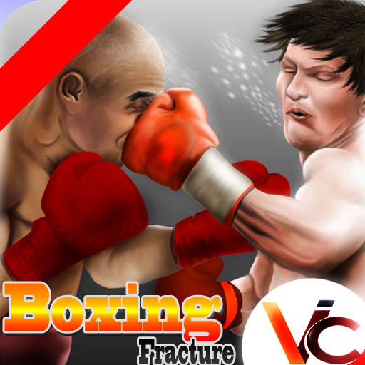 4 d boxing