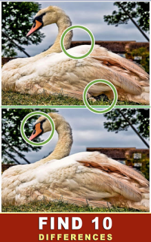 Download Find The Difference - Spot It Puzzles for Android screenshot 2
