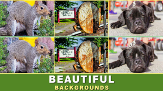 Download Find The Difference - Spot It Puzzles for Android screenshot 3