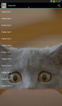 Download Cats sounds Music and audio for Android screenshot 4