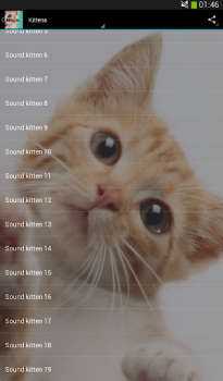 Download Cats sounds Music and audio for Android screenshot 5