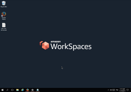 Download Amazon WorkSpaces Business for Android screenshot 2