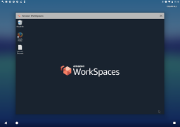 Download Amazon WorkSpaces Business for Android screenshot 6