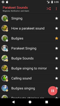 Download Parakeet Sounds Entertainment for Android screenshot 2