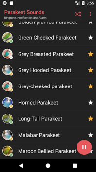 Download Parakeet Sounds Entertainment for Android screenshot 3