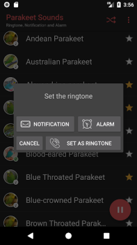 Download Parakeet Sounds Entertainment for Android screenshot 4