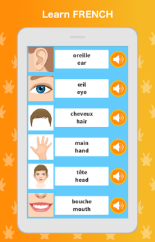 Download Learn French Language Education for Android screenshot 7