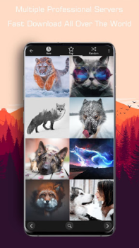 Download Million Wallpapers - HD 4K+ Personalization for Android screenshot 4