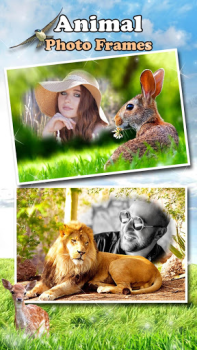 Download All Animals Photo Frames 🐅 Wildlife 🐈 Cute Pets Photo for Android
