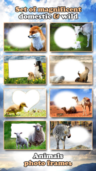 Download All Animals Photo Frames 🐅 Wildlife 🐈 Cute Pets Photo for Android screenshot 6