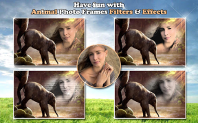Download All Animals Photo Frames 🐅 Wildlife 🐈 Cute Pets Photo for Android screenshot 7
