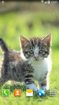 Download Cat Live Wallpaper Personalization for Android screenshot 2