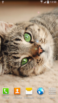 Download Cat Live Wallpaper Personalization for Android screenshot 3