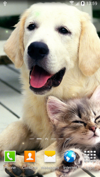 Download Cat Live Wallpaper Personalization for Android screenshot 7