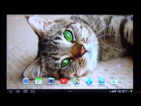 Download Cat Live Wallpaper Personalization for Android screenshot 8