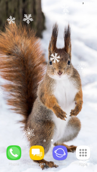 Download Beautiful Winter Live Wallpape Personalization for Android screenshot 5