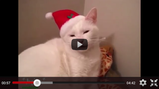 Download Free Funny Videos for Whatsapp Entertainment for Android screenshot 7