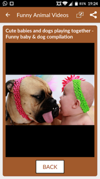 Download Funny Animal Videos: Cats Dogs Entertainment for Android screenshot 3