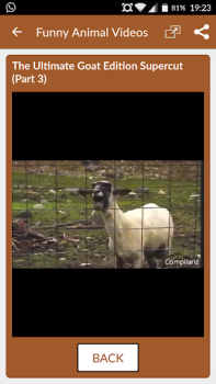 Download Funny Animal Videos: Cats Dogs Entertainment for Android screenshot 6