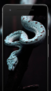 Download Darkify 3 Personalization for Android screenshot 6