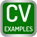 Download  CV Examples: PDF CV Templates