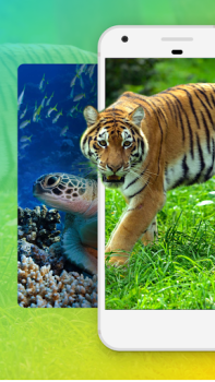 Download Animals Wallpaper HD Personalization for Android screenshot 2