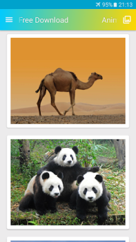 Download Animals Wallpaper HD Personalization for Android screenshot 3