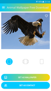 Download Animals Wallpaper HD Personalization for Android screenshot 4