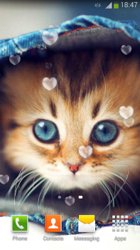 Download Cute Cats Live Wallpaper Personalization for Android