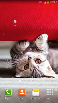 Download Cute Cats Live Wallpaper Personalization for Android screenshot 2