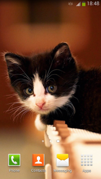 Download Cute Cats Live Wallpaper Personalization for Android screenshot 4