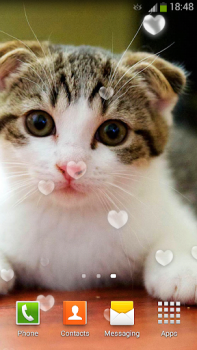 Download Cute Cats Live Wallpaper Personalization for Android screenshot 5