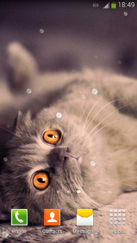 Download Cute Cats Live Wallpaper Personalization for Android screenshot 6