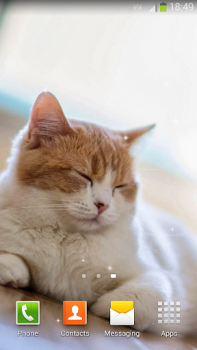 Download Cute Cats Live Wallpaper Personalization for Android screenshot 7