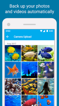 Download Sync - Secure cloud storage Work for Android screenshot 3