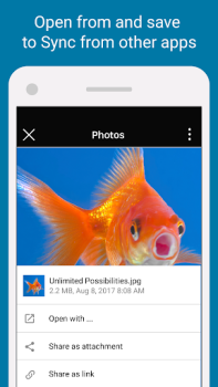 Download Sync - Secure cloud storage Work for Android screenshot 4