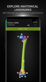 Download Anatomyka - 3D Anatomy Atlas Medicine for Android screenshot 2