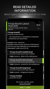 Download Anatomyka - 3D Anatomy Atlas Medicine for Android screenshot 3